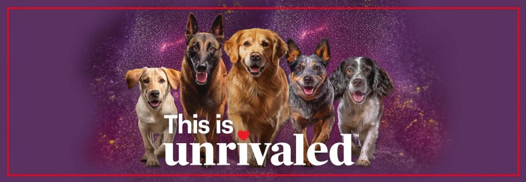 Unrivaled Premium Dog Food