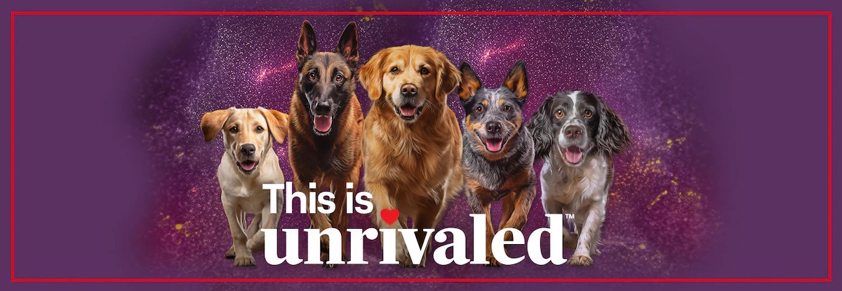 this-is-unrivaled-dog-food Unrivaled Premium Dog Food